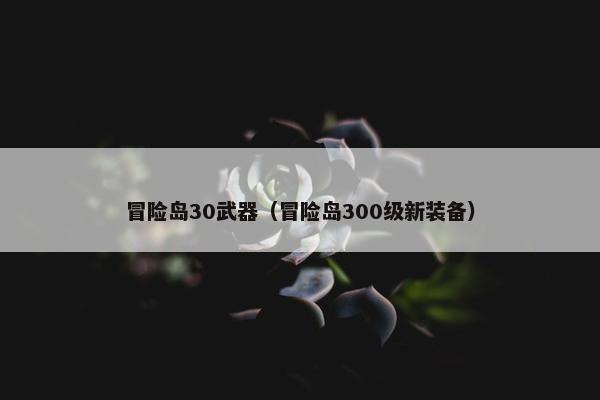 冒险岛30武器（冒险岛300级新装备）