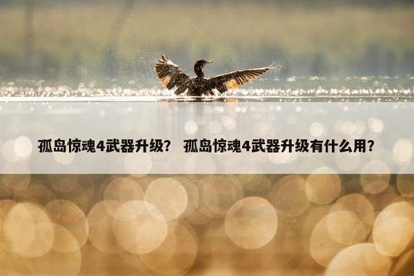 孤岛惊魂4武器升级？ 孤岛惊魂4武器升级有什么用？