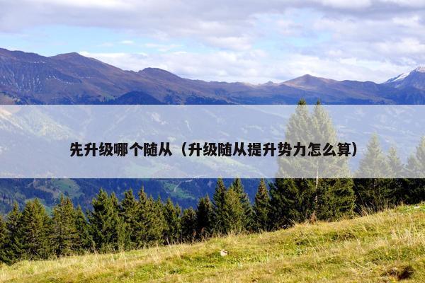 先升级哪个随从（升级随从提升势力怎么算）