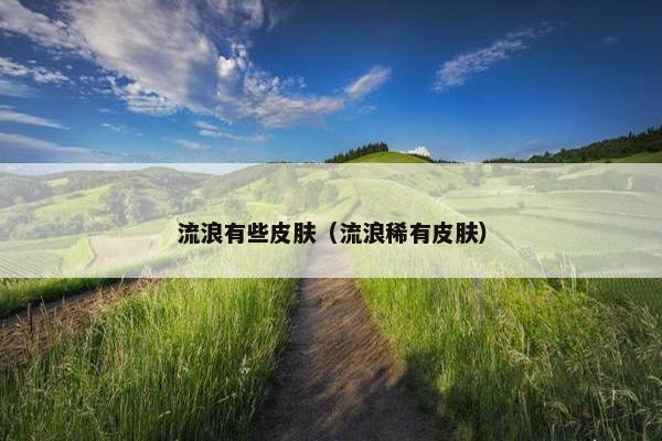 流浪有些皮肤（流浪稀有皮肤）