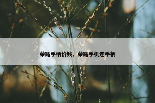 荣耀手柄价钱，荣耀手机连手柄