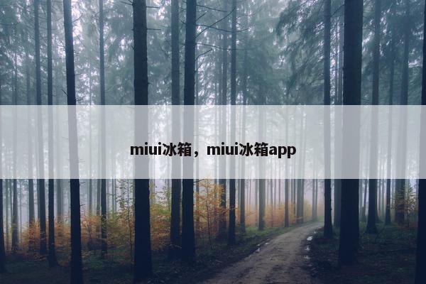 miui冰箱，miui冰箱app