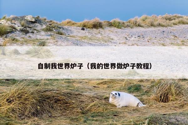 自制我世界炉子（我的世界做炉子教程）