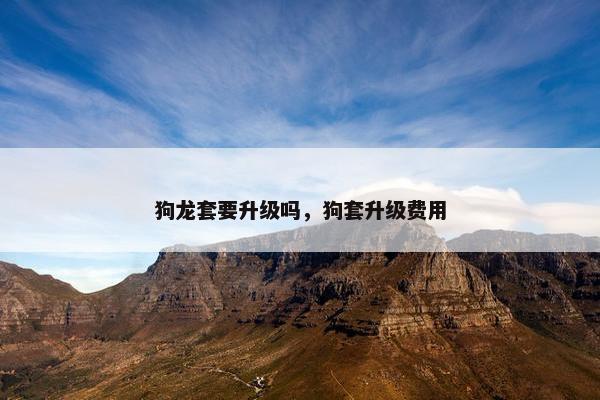 狗龙套要升级吗，狗套升级费用