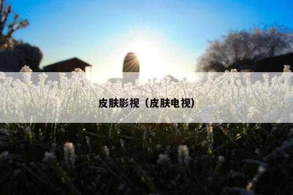 皮肤影视（皮肤电视）