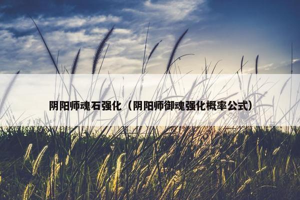阴阳师魂石强化（阴阳师御魂强化概率公式）