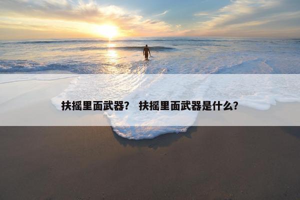 扶摇里面武器？ 扶摇里面武器是什么？