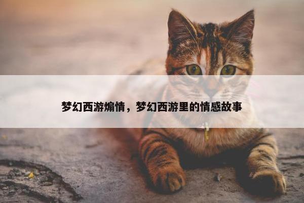 梦幻西游煽情，梦幻西游里的情感故事