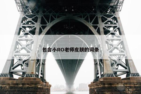 包含小RO老师皮肤的词条