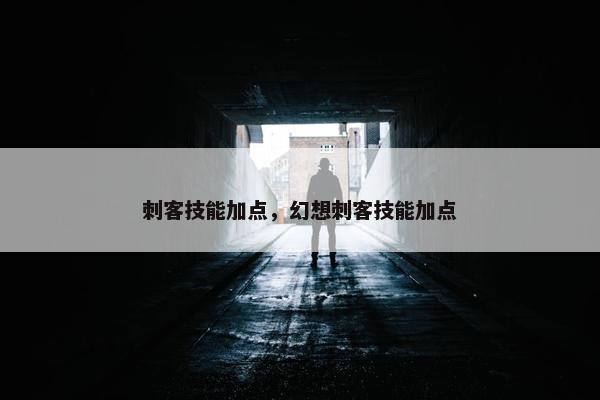 刺客技能加点，幻想刺客技能加点