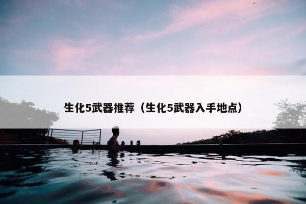 生化5武器推荐（生化5武器入手地点）