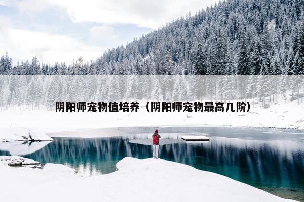 阴阳师宠物值培养（阴阳师宠物最高几阶）