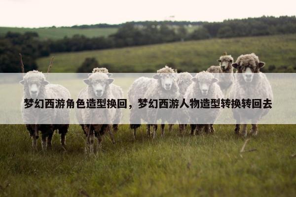 梦幻西游角色造型换回，梦幻西游人物造型转换转回去
