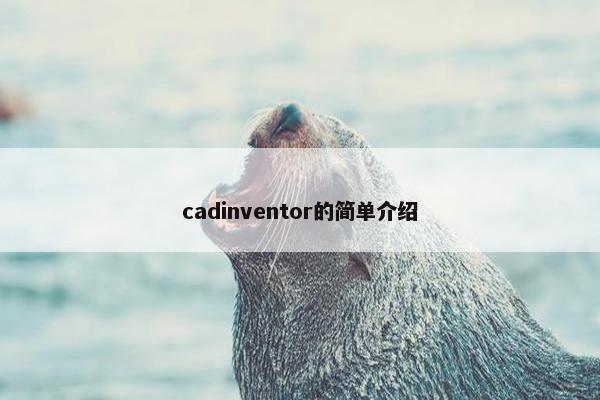 cadinventor的简单介绍