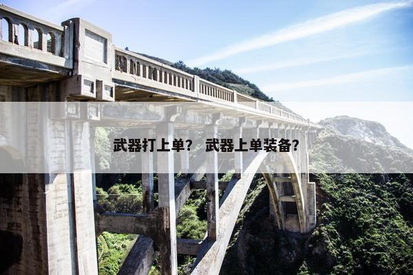 武器打上单？ 武器上单装备？