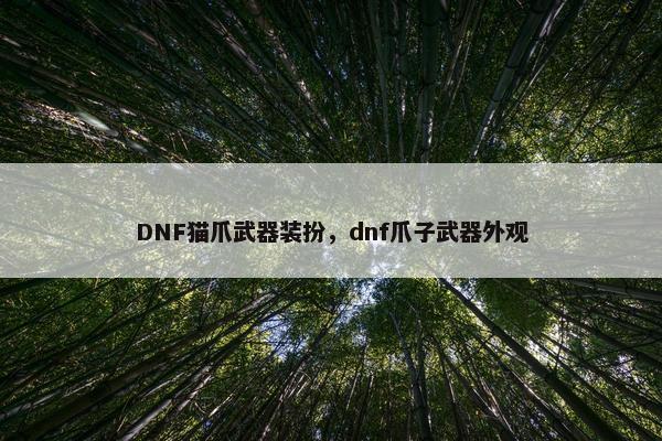 DNF猫爪武器装扮，dnf爪子武器外观