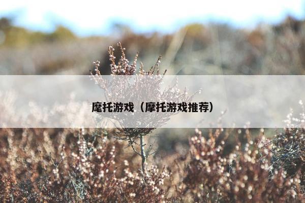 麾托游戏（摩托游戏推荐）