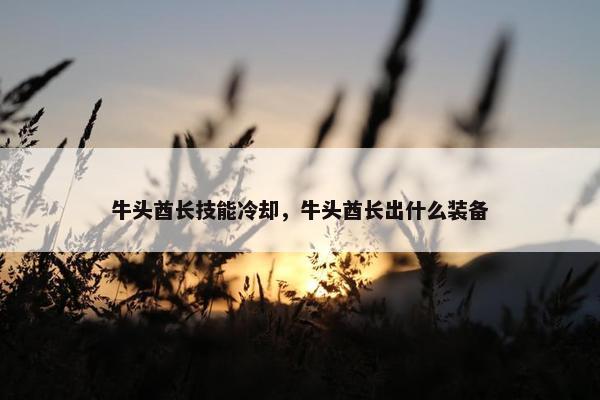 牛头酋长技能冷却，牛头酋长出什么装备