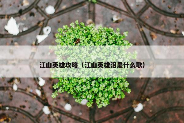江山英雄攻略（江山英雄泪是什么歌）