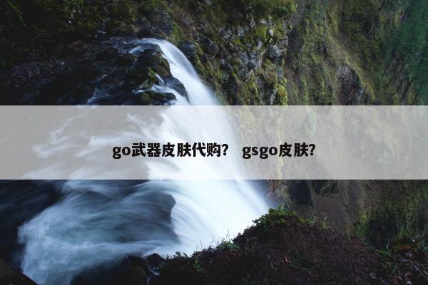 go武器皮肤代购？ gsgo皮肤？