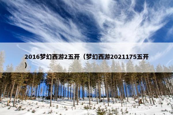 2016梦幻西游2五开（梦幻西游2021175五开）