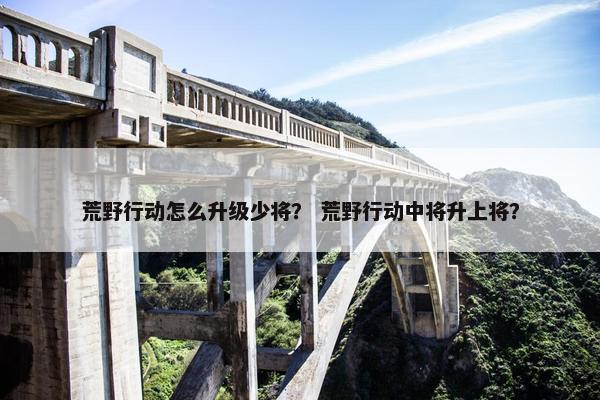 荒野行动怎么升级少将？ 荒野行动中将升上将？