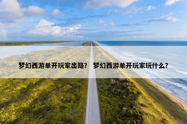 梦幻西游单开玩家出路？ 梦幻西游单开玩家玩什么？