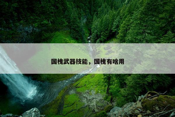 国槐武器技能，国槐有啥用