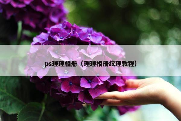 ps理理相册（理理相册纹理教程）
