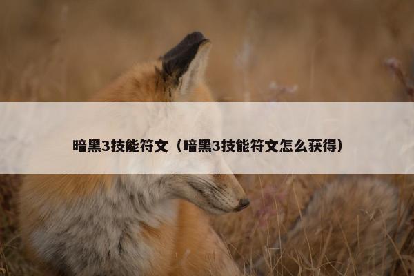 暗黑3技能符文（暗黑3技能符文怎么获得）