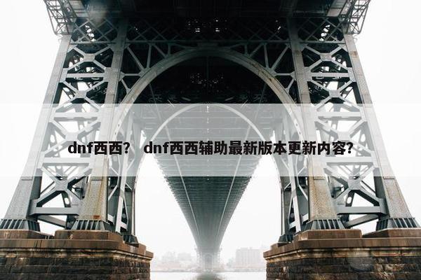 dnf西西？ dnf西西辅助最新版本更新内容？