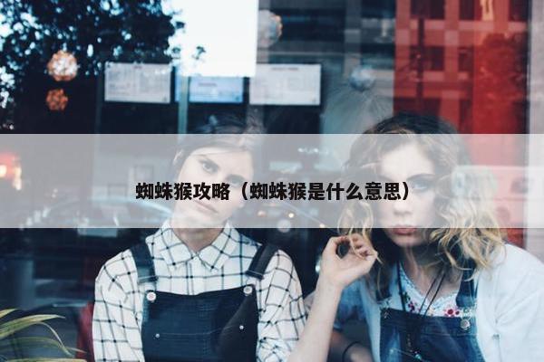 蜘蛛猴攻略（蜘蛛猴是什么意思）