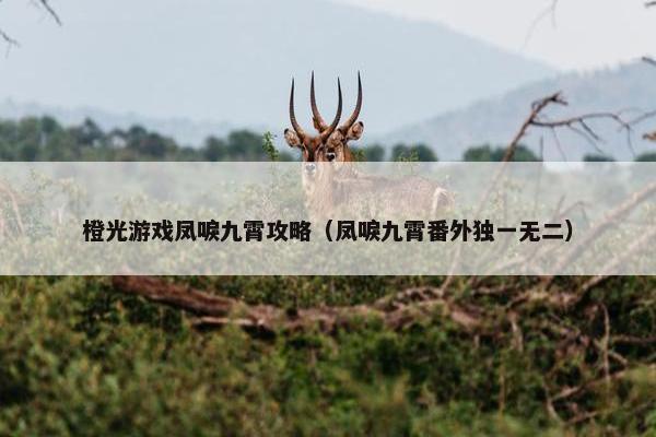 橙光游戏凤唳九霄攻略（凤唳九霄番外独一无二）