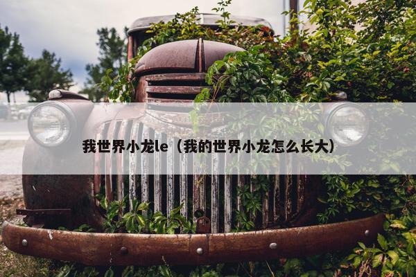我世界小龙le（我的世界小龙怎么长大）