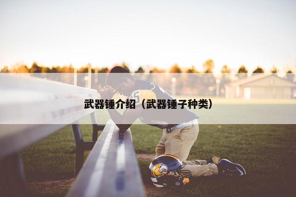 武器锤介绍（武器锤子种类）