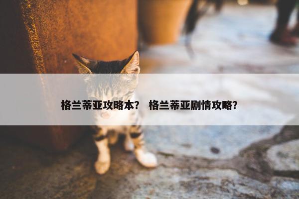 格兰蒂亚攻略本？ 格兰蒂亚剧情攻略？