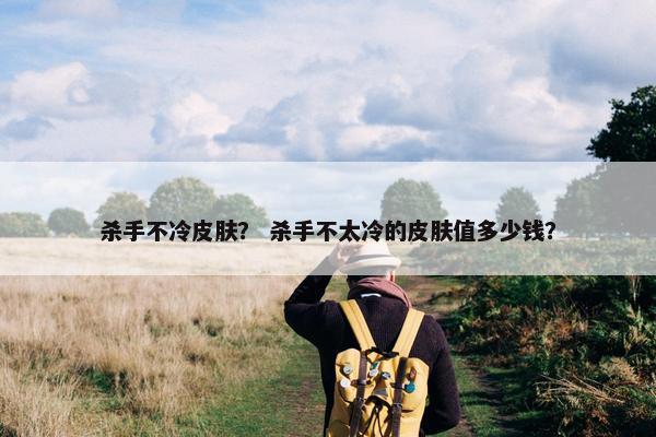 杀手不冷皮肤？ 杀手不太冷的皮肤值多少钱？