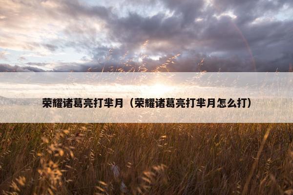 荣耀诸葛亮打芈月（荣耀诸葛亮打芈月怎么打）