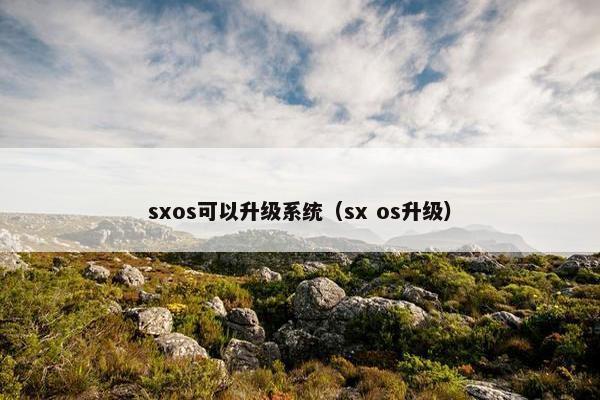 sxos可以升级系统（sx os升级）