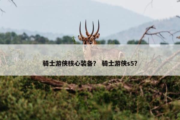 骑士游侠核心装备？ 骑士游侠s5？