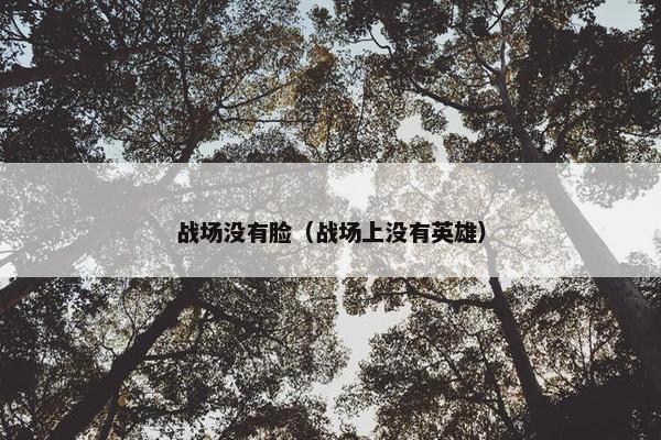 战场没有脸（战场上没有英雄）