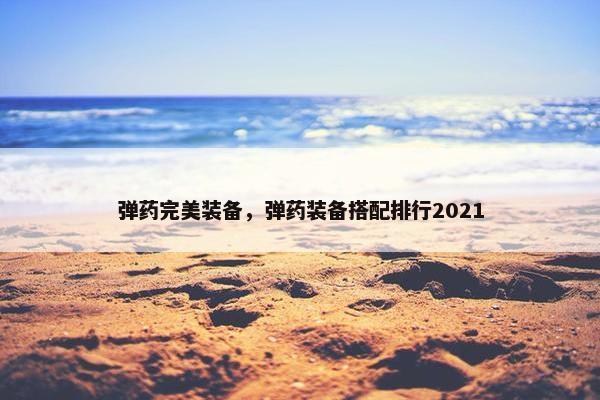 弹药完美装备，弹药装备搭配排行2021