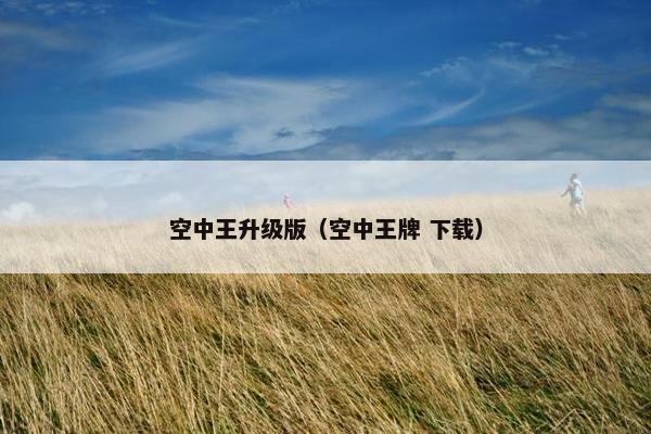 空中王升级版（空中王牌 下载）