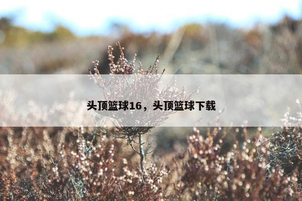 头顶篮球16，头顶篮球下载