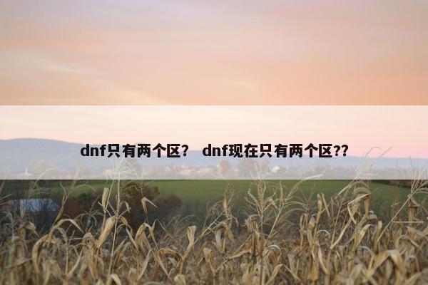 dnf只有两个区？ dnf现在只有两个区?？