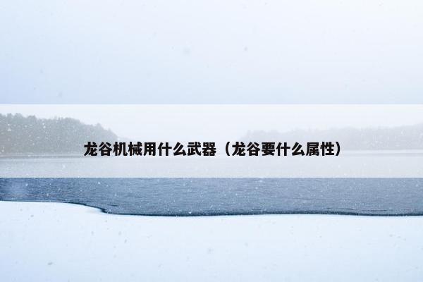 龙谷机械用什么武器（龙谷要什么属性）