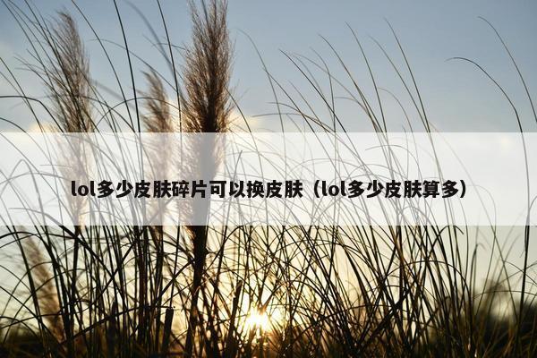 lol多少皮肤碎片可以换皮肤（lol多少皮肤算多）