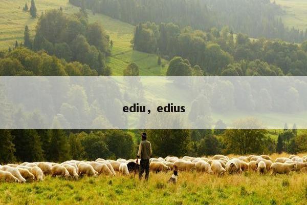 ediu，edius