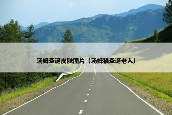 汤姆圣诞皮肤图片（汤姆猫圣诞老人）