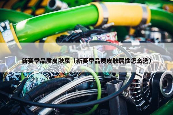 新赛季品质皮肤属（新赛季品质皮肤属性怎么选）